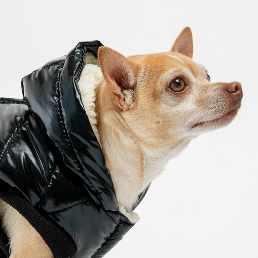 Water Resistant Dog Jacket - Fashion Black