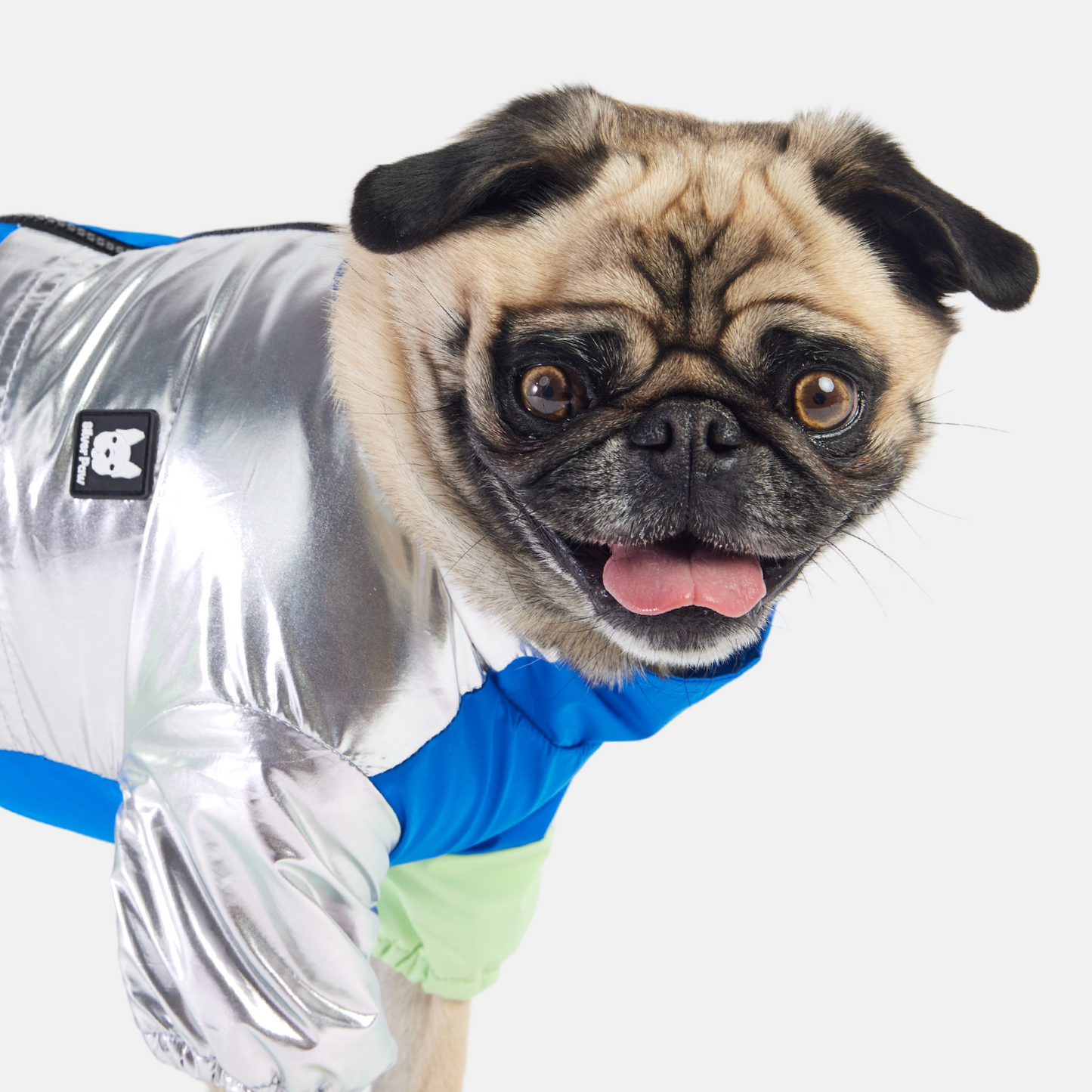 Water Resistant Dog Tracksuit - Blue