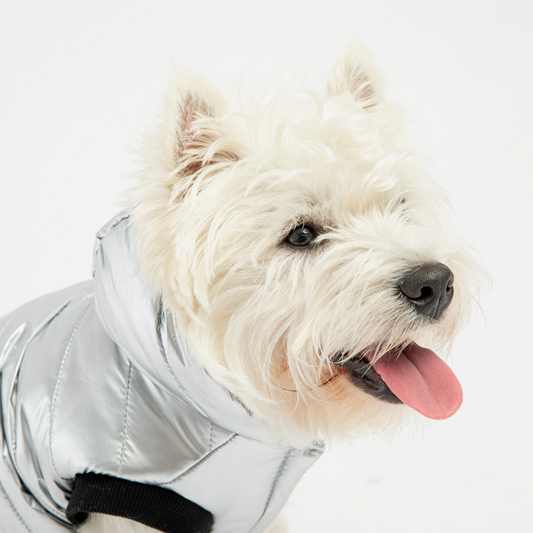 Trendy Dog Jacket - Silver